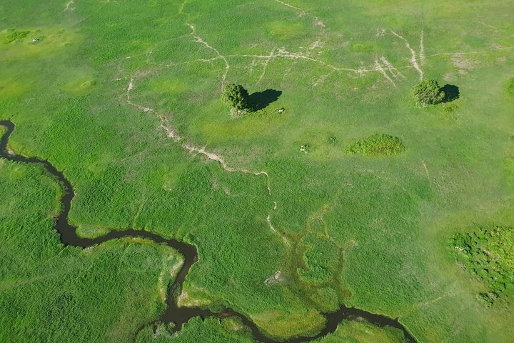 Okavango Delta