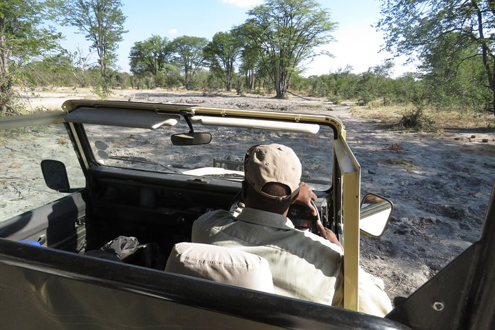 3 Day Wilderness Trail: Moremi, Khwai & East Okavango Delta - WildCamping Safari - Photo 1 of 16