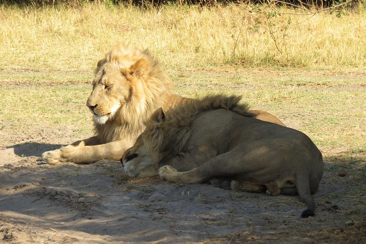 Central Kalahari Game Reserve