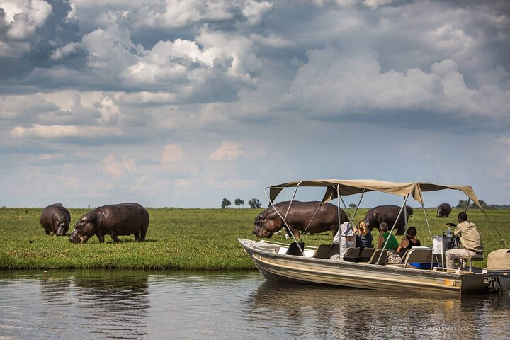 3 Hours Chobe Boat Cruise, Botswana - Photo 1 of 12