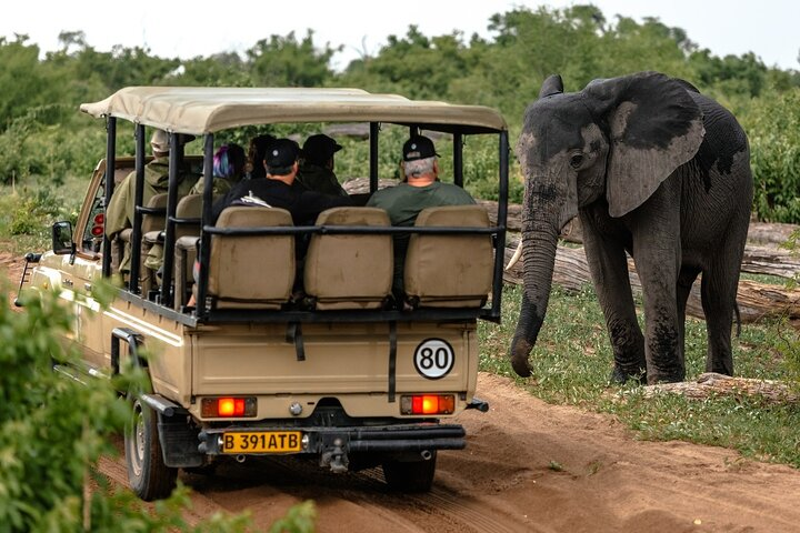 3 Hours Chobe Game Drive Safari, Botswana - Photo 1 of 9