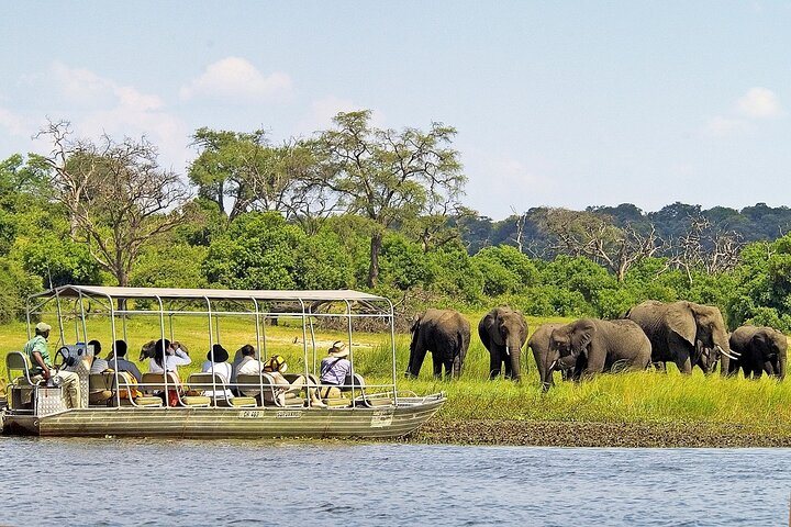 3 Hours Chobe River Boat Cruise - Photo 1 of 12