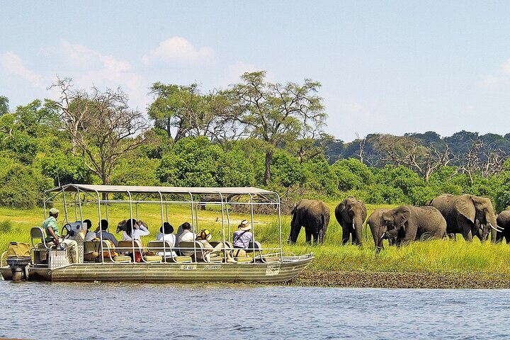 Chobe Boat Cruise & Game Drive Day Trip - Photo 1 of 14