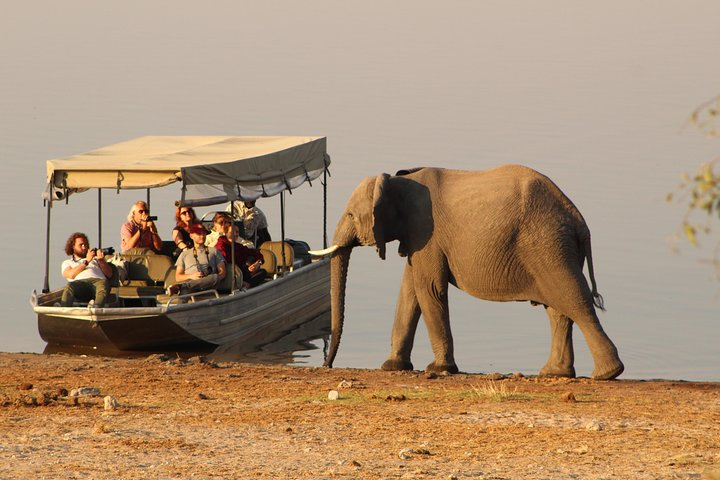 Chobe national park boat cruise.