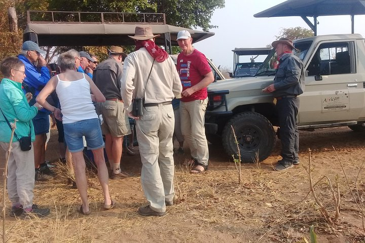 chobe national park 9hr full day game drive - Photo 1 of 13