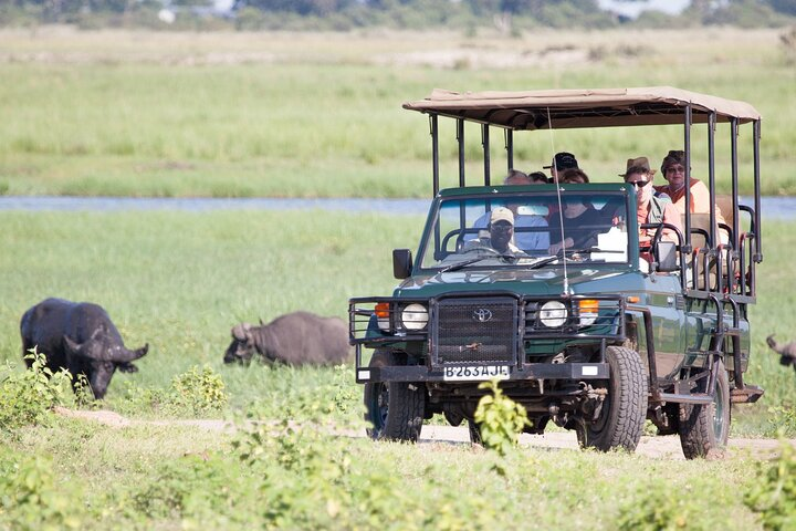 Chobe National Park Boat Cruise And Game Drive Trip - Photo 1 of 13