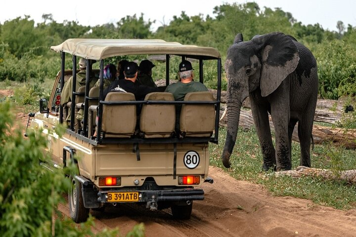 Chobe National Park Game Drive Safari Botswana - Photo 1 of 11