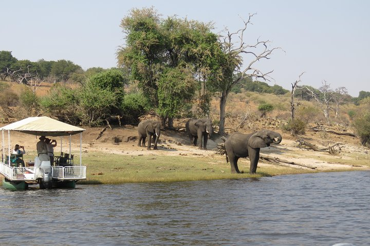 Chobe National Park