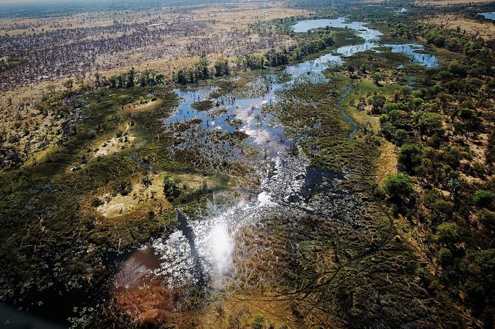 Full Day Okavango Boat Safari - Photo 1 of 2