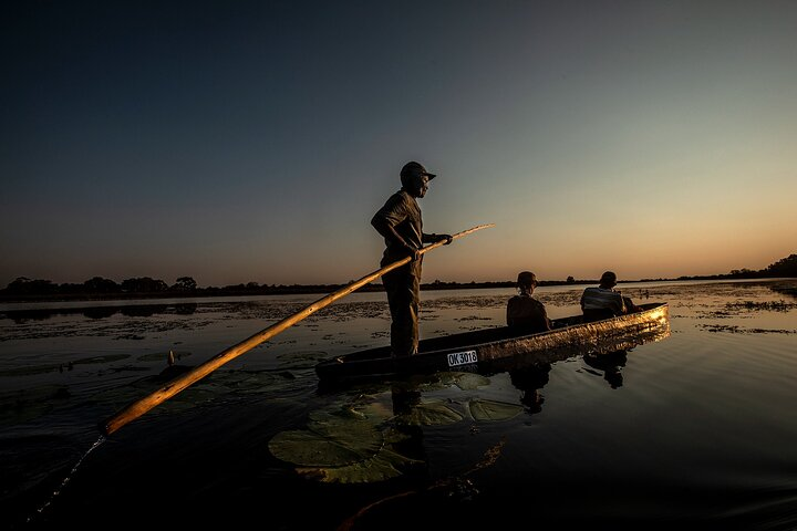 Luxury Okavango Safari - 5 Day - Photo 1 of 25