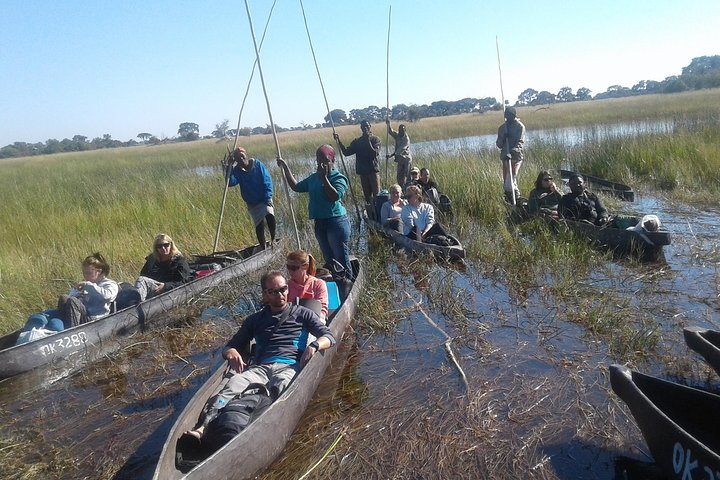 Mokoro ride in the Mighty Okavango Delta