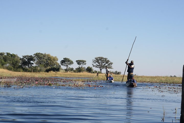 Mokoro Safari 3 Nights 4 Days - Photo 1 of 12