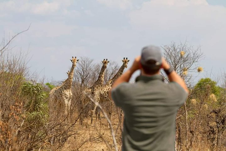 Private Game Drive and Chobe River Cruise - Photo 1 of 10