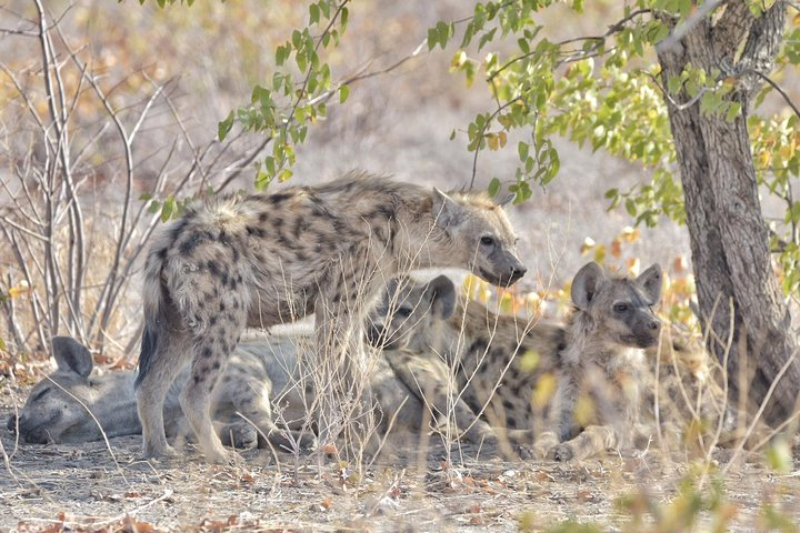 Victoria falls- Okavango Delta Safari (11 nights/ 12 days) - Photo 1 of 19