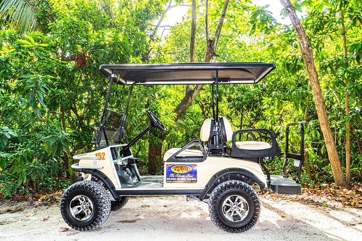 Avis Golf Cart Rental LTD Island Explore - Photo 1 of 7