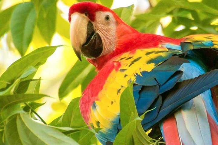 Belize Zoo & Country Tour with lunch from Placencia - Photo 1 of 7