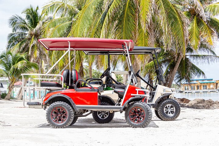 Golf Cart Rental Belize Ambergris Caye  - Photo 1 of 8