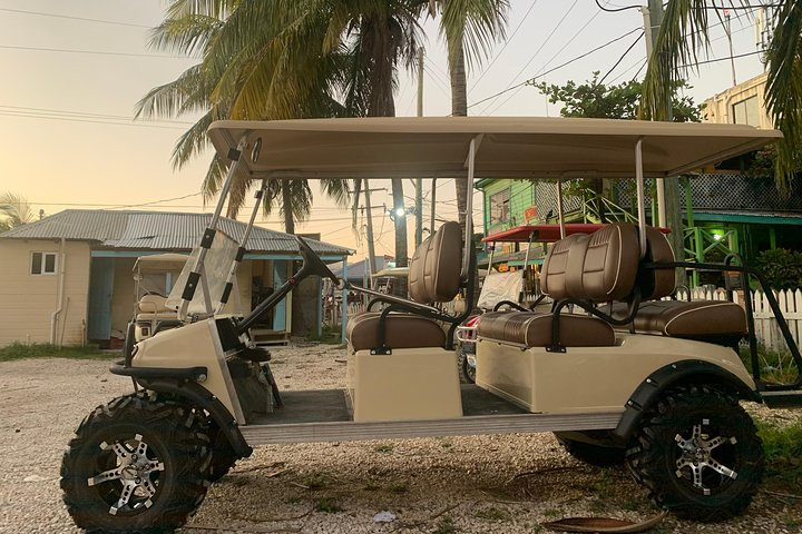 Golf Cart Rental By Group 2-6 Seater - Photo 1 of 7