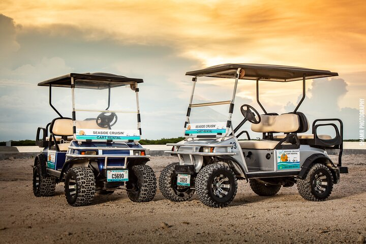 Golf Cart Rental San Pedro Belize - Photo 1 of 8