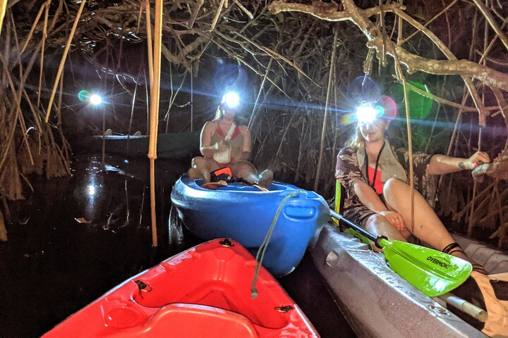 Guided Bioluminescence Night Kayaking Adventure in Belize - Photo 1 of 14