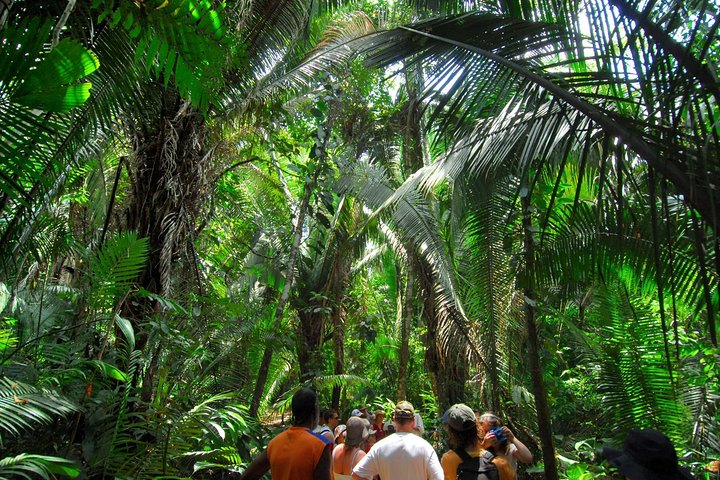 Head out on this 5.1-km out-and-back trail taking up approximately 2 hours to complete.