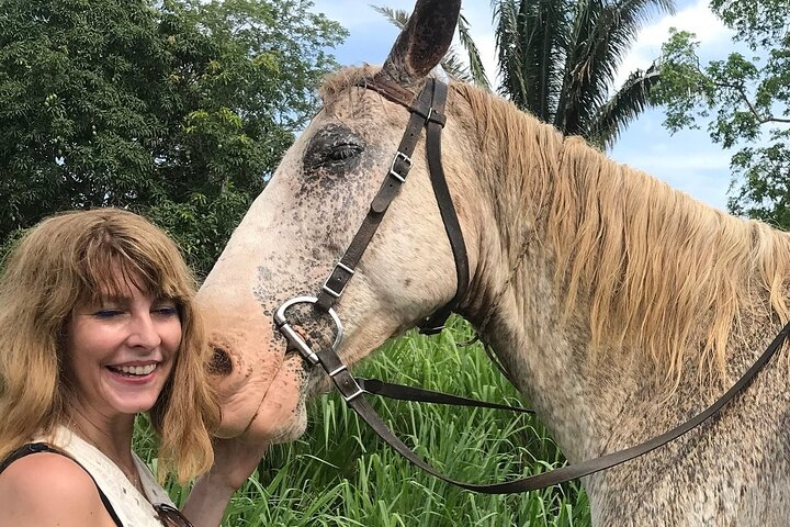 Jungle and farm horseback riding adventure! - Photo 1 of 7