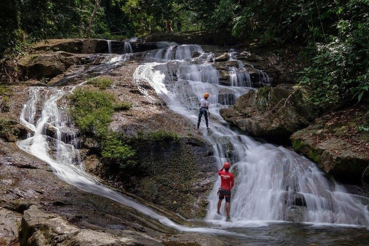 Jungle Canopy Zipline & Waterfall Rappelling - Bocawina Falls - Photo 1 of 10