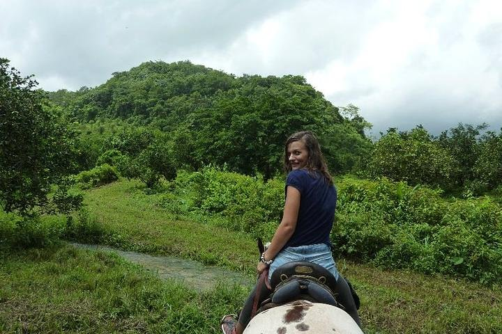 Jungle Horseback & Cave Tube Adventure - Photo 1 of 2