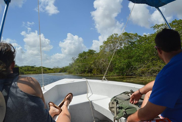 sightseeing by boat