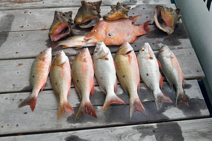 Private Full Day Fishing in Belize Cayes - Photo 1 of 19