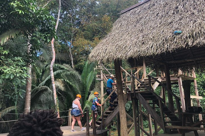 Rain forest Zip Line Adventure & Belize sign & Rum Factory from Belize City - Photo 1 of 7