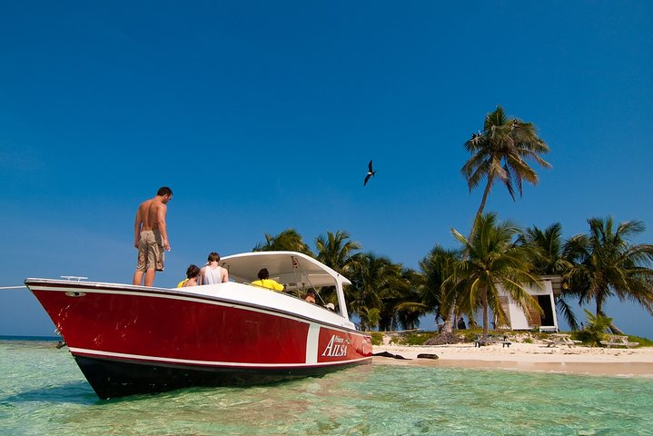 Arrive the Silk Caye on one of our Princesses...