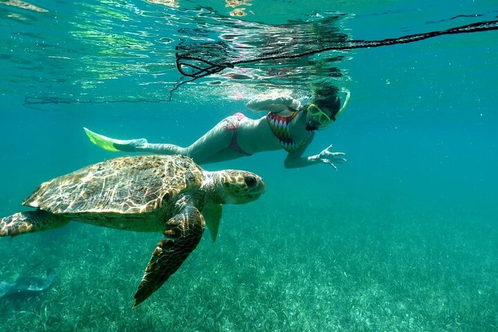 Snorkeling at Silk and Moho Caye - Photo 1 of 3