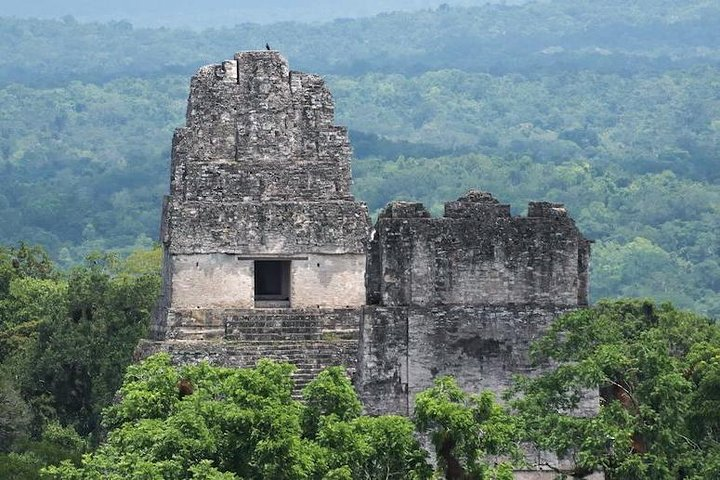 Tikal Mayan Adventure - 1 Day Tour - Photo 1 of 3