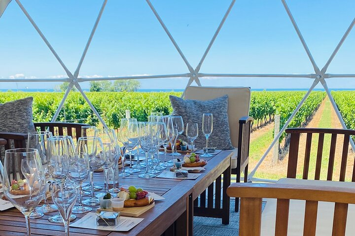 Private Dome Overlooking the Lake and Vineyard