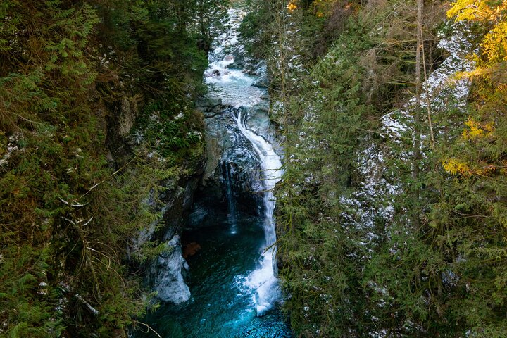 6-Hour Private Tour in Lynn Canyon and Deep Cove with Pickup - Photo 1 of 8