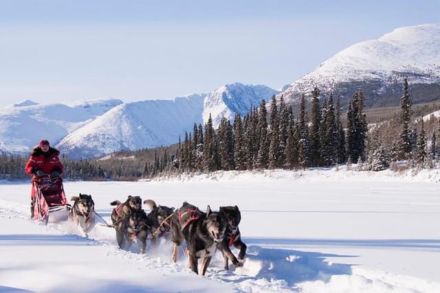 Active Winter Adventure in Yukon | 5 days - Photo 1 of 6