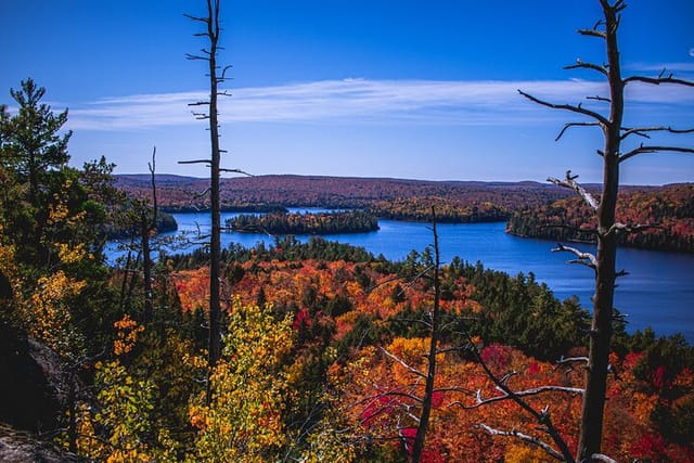 Algonquin Provincial Park Full Day Trip - Photo 1 of 3