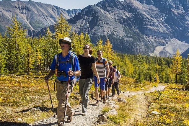 Banff National Park Guided Hike with Lunch - Photo 1 of 10