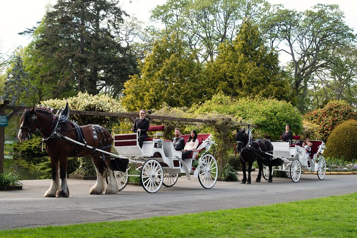 Beacon Hill Park Horse-Drawn Carriage Experience in Victoria - Photo 1 of 6