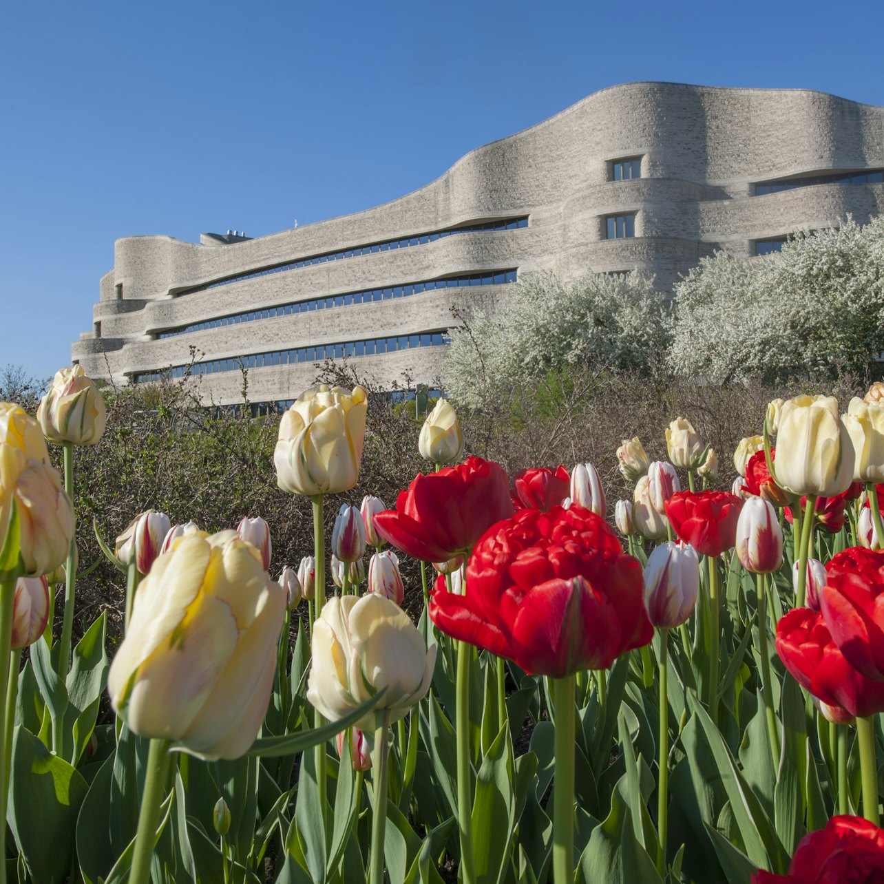 Canadian Museum of History: Skip-the-Line - Photo 1 of 9