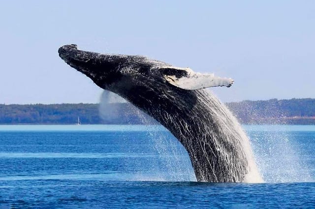 Charlevoix, Grand Canyo and Whale Watching 2 Days Tour - Photo 1 of 4