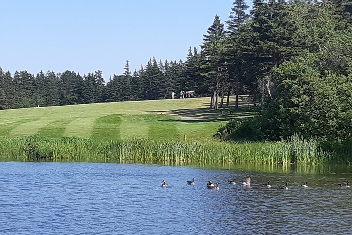 Just one of the many beautiful golf course scenes 