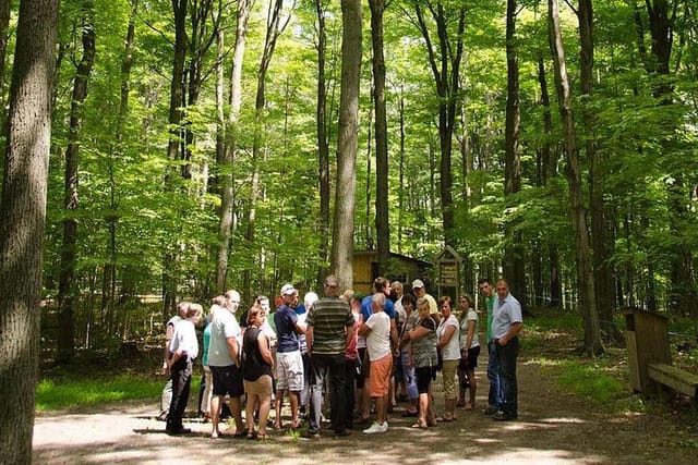 Discover Maple Sugar Bush Tour - Photo 1 of 3