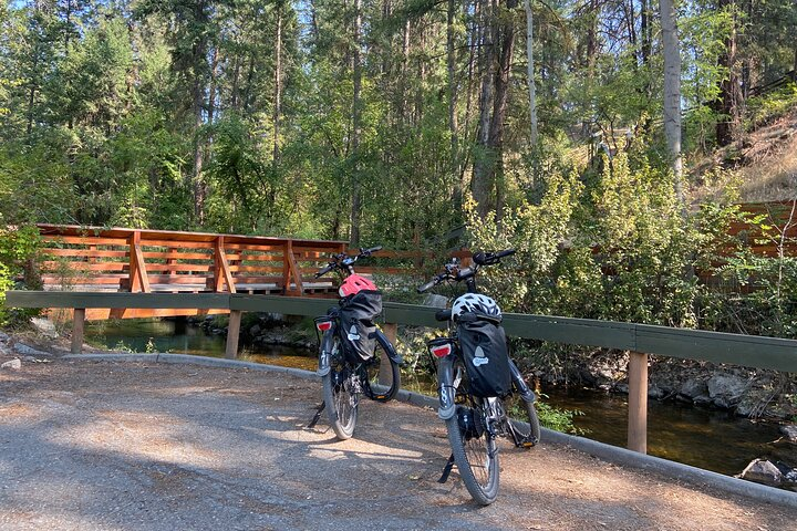 E-Bike Salmon Adventure - Photo 1 of 10