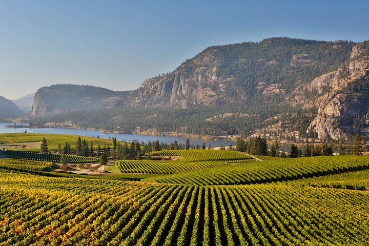 Vineyards and Lake Okanagan