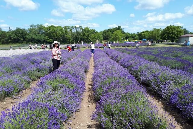 Full-Day Highlights of Prince Edward County Private Tour  - Photo 1 of 15