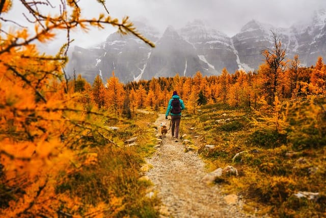 Full-Day Larch hike, Banff departure - Photo 1 of 12