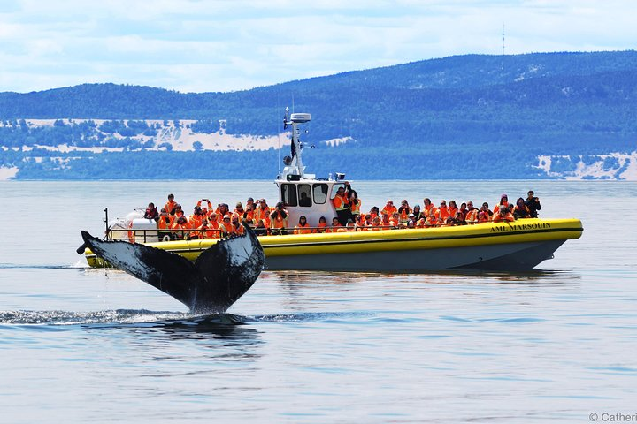 Zodiac Boat