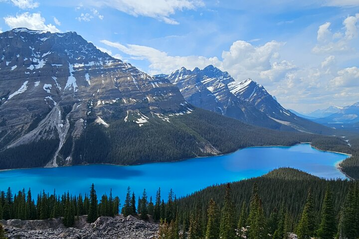 Peyto Lake Lookout